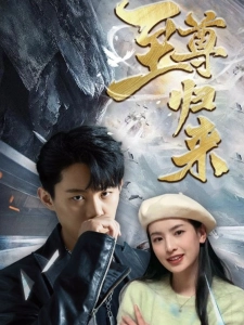 短剧至尊归来海报