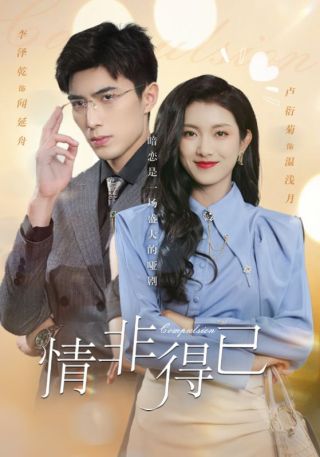 短剧情非得已海报