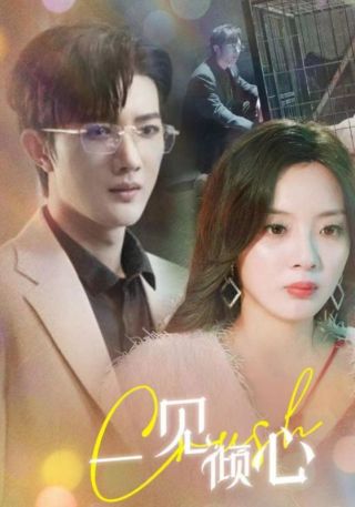 短剧一见倾心海报