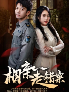 短剧相亲走错桌海报