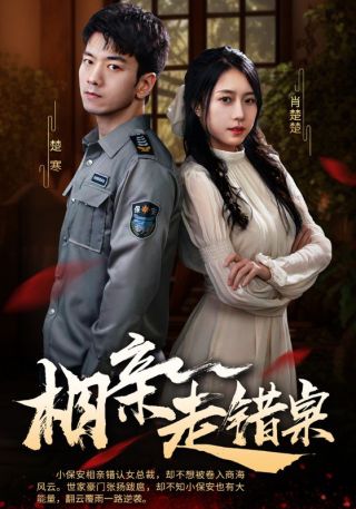 短剧相亲走错桌海报