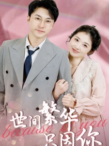 短剧世间繁华只因你海报