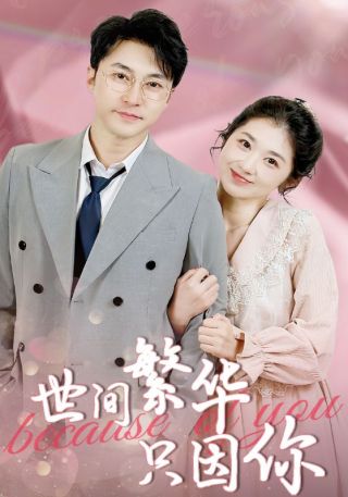 短剧世间繁华只因你海报