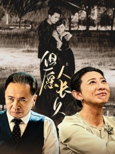 短剧但愿人长久海报