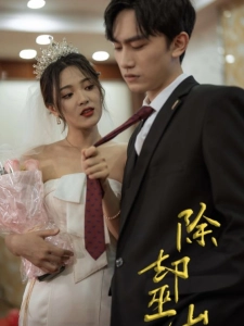 短剧除却巫山海报