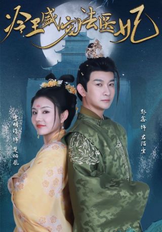 短剧冷王盛宠法医妃海报