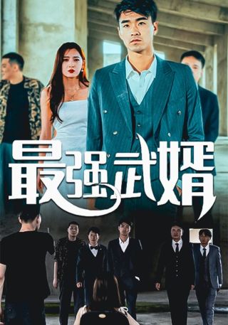 短剧最强武婿海报