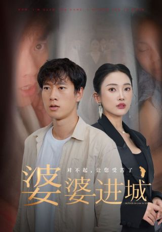 短剧婆婆进城海报