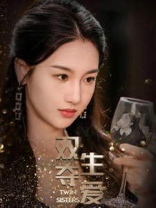 短剧双生夺爱海报