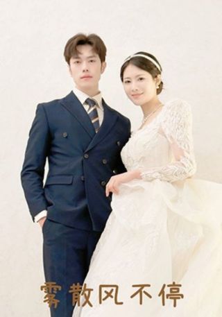 短剧雾散风不停海报