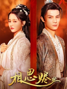 短剧相思烬海报