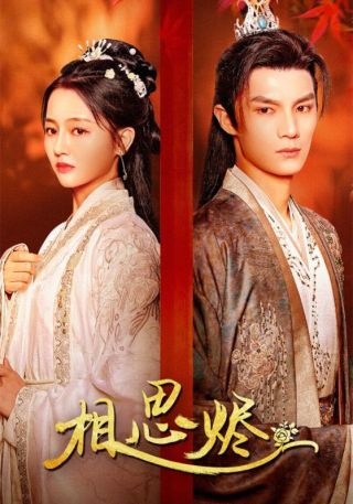 短剧相思烬海报