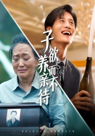 短剧子欲养而亲不待海报