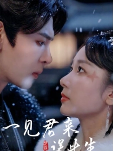 短剧一见君来误此生海报