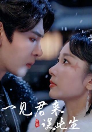 短剧一见君来误此生海报