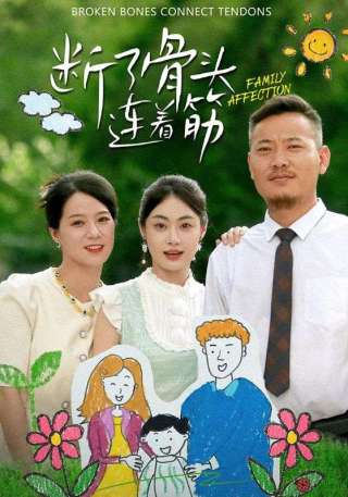 短剧断了骨头连着筋海报