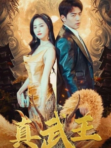 短剧真武王海报