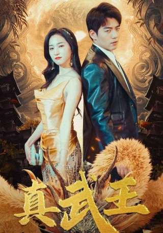 短剧真武王海报