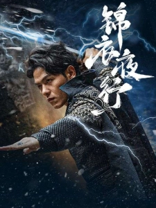 短剧锦衣夜行海报