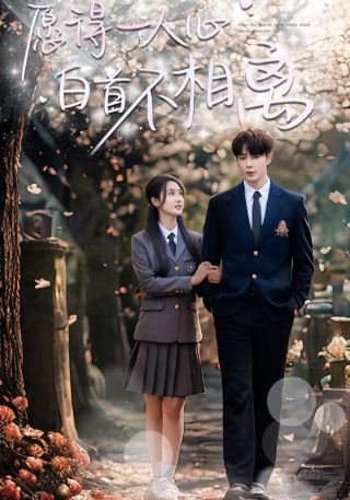 短剧愿得一人心白首不相离海报