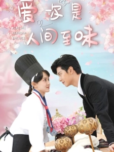 短剧爱你是人间至味海报