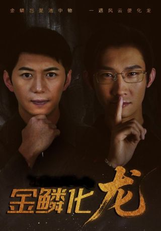短剧金鳞化龙海报