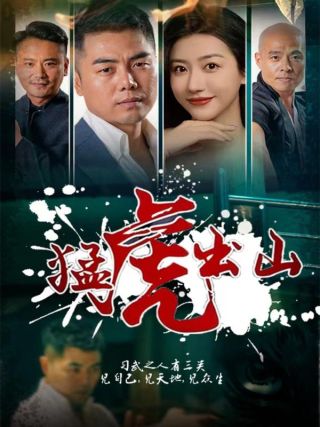 短剧猛虎出山海报