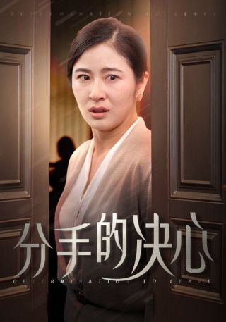 短剧分手的决心海报