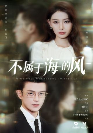短剧不属于海的风海报