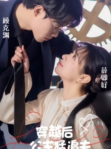 短剧穿越后公主猛追夫海报