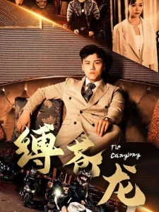 短剧缚苍龙海报