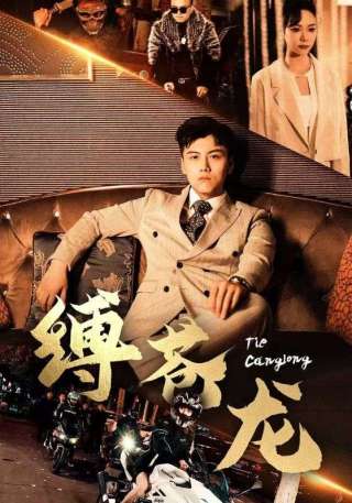 短剧缚苍龙海报