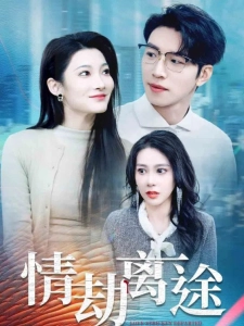 短剧情劫离途海报