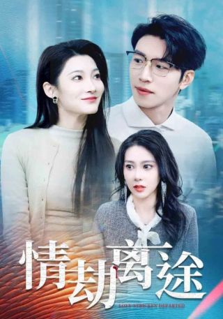 短剧情劫离途海报