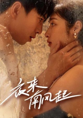 短剧夜来南风起海报