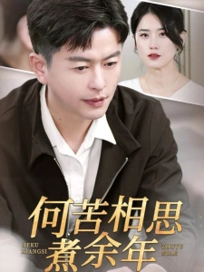 短剧何苦相思煮余年海报