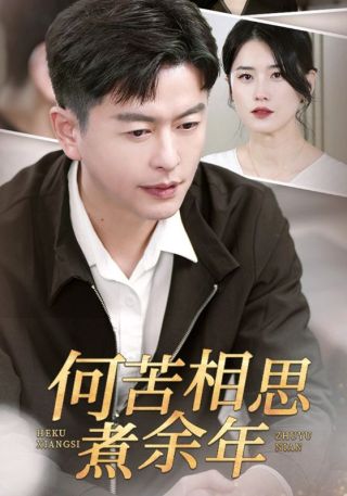 短剧何苦相思煮余年海报