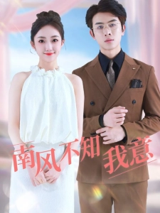 短剧南风不知我意海报