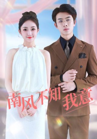 短剧南风不知我意海报