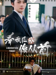 短剧看我几分像从前海报