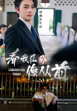 短剧看我几分像从前海报