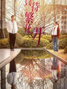 短剧只待繁花开海报