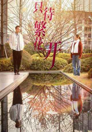 短剧只待繁花开海报