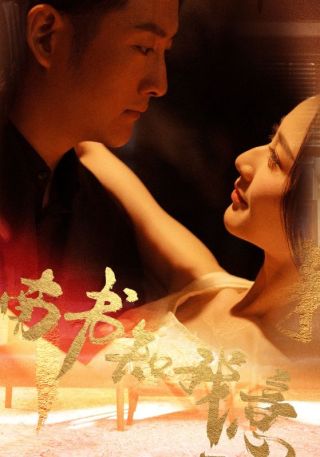 短剧南书知我意海报