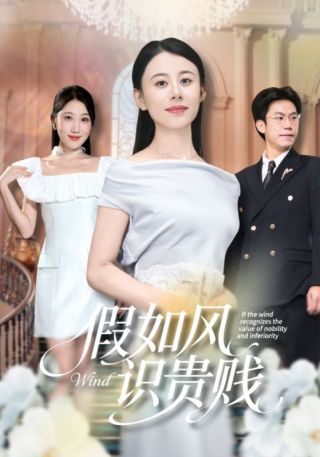 短剧假如风识贵贱海报