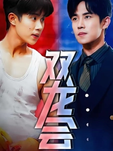 短剧双龙会海报