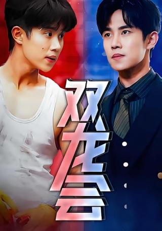 短剧双龙会海报