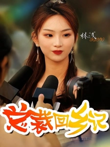 短剧总裁回乡记海报