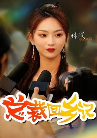 短剧总裁回乡记海报