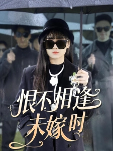 短剧恨不相逢未嫁时海报